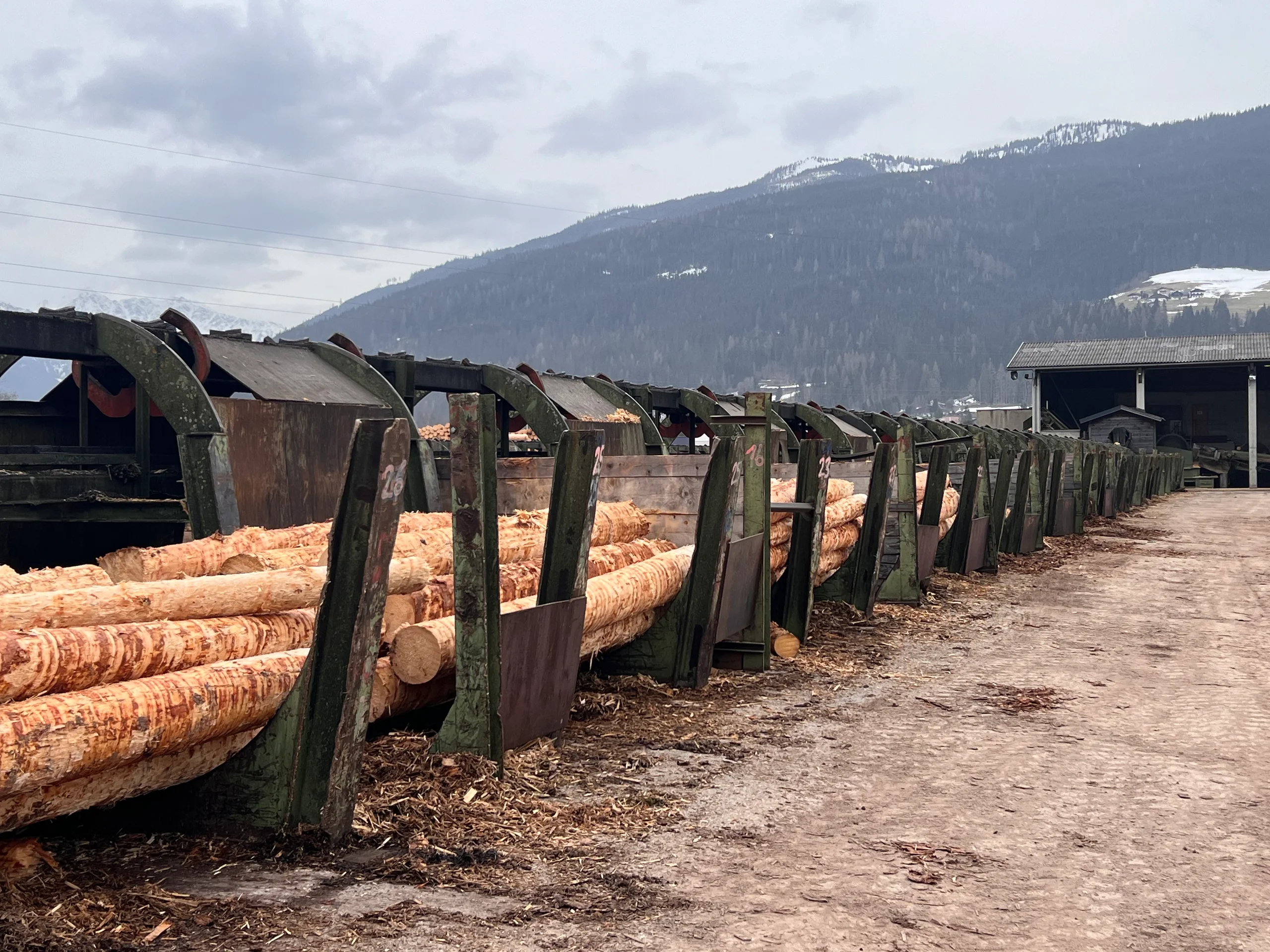 Log sorting plant with debarker - Image 13